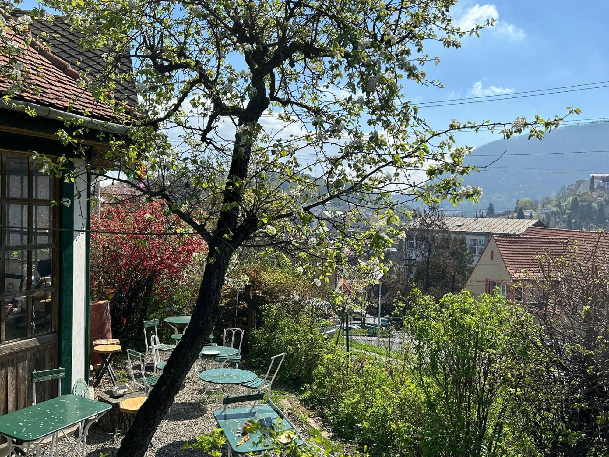 Villa Kuschmann Brasov Ngoại thất bức ảnh